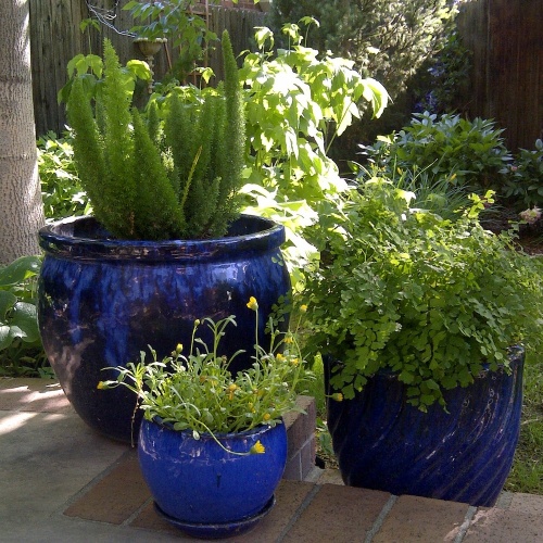 Potted Plant Ideas, Grouping Potted Plants Together, Plant ...